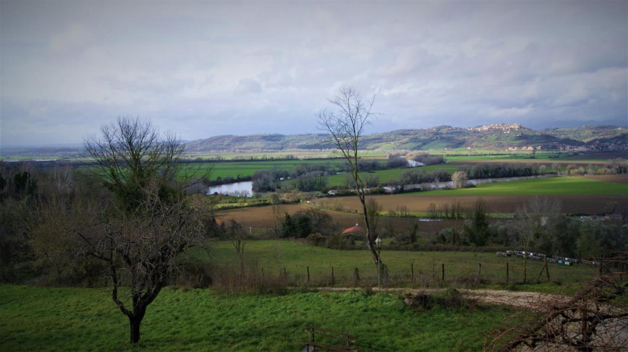 Agriturismo Monterone Ponzano Romano Екстер'єр фото