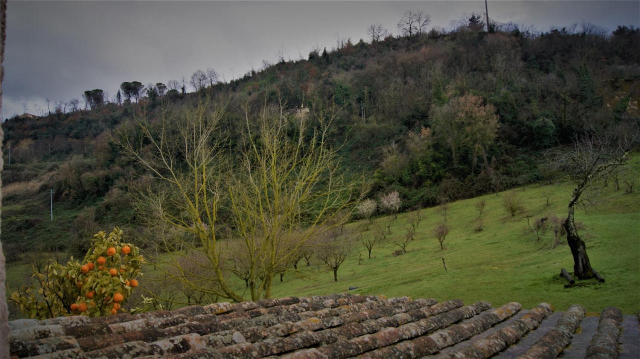 Agriturismo Monterone Ponzano Romano Екстер'єр фото