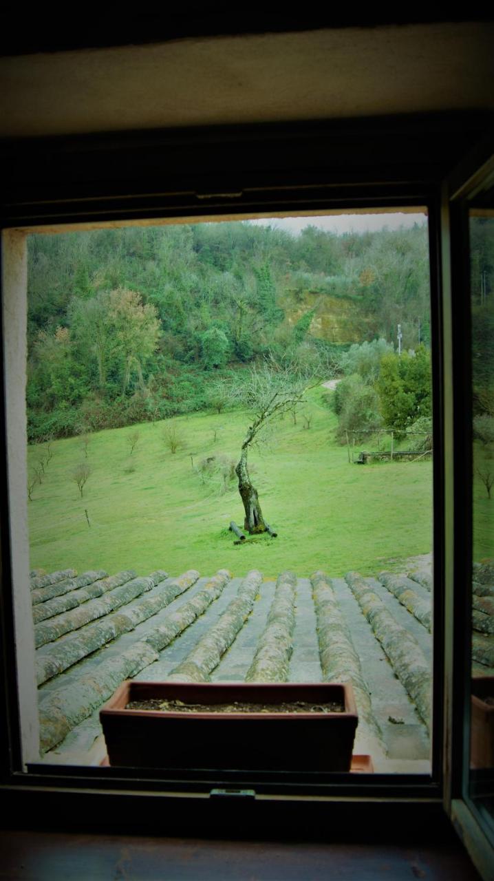 Agriturismo Monterone Ponzano Romano Екстер'єр фото